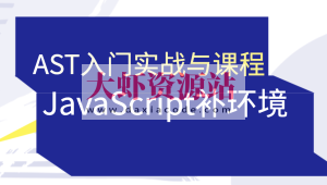 蔡老板-AST入门实战与JavaScript补环境课程