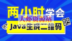 2小时实战《Java二维码生成》项目 资料完整