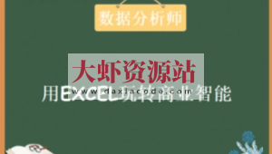 数据分析师《用EXCEL玩转商业技能》