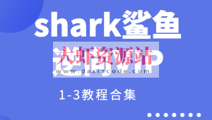 shark鲨鱼逆向VIP1-3教程合集