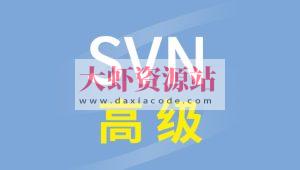 尚硅谷SVN高级视频