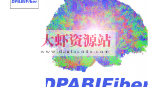 DPABIFIBER脑结构纤维与脑功能融合高阶课程